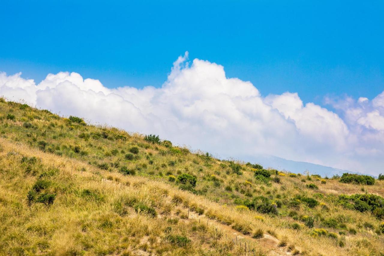 Aparthotel Il Panorama Housing Cilento Santa Maria di Castellabate Zewnętrze zdjęcie