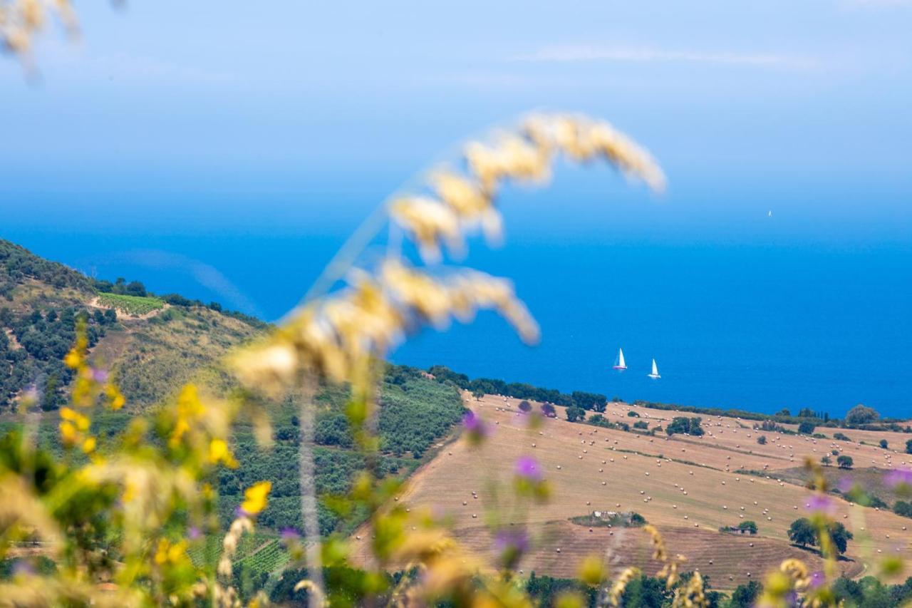 Aparthotel Il Panorama Housing Cilento Santa Maria di Castellabate Zewnętrze zdjęcie