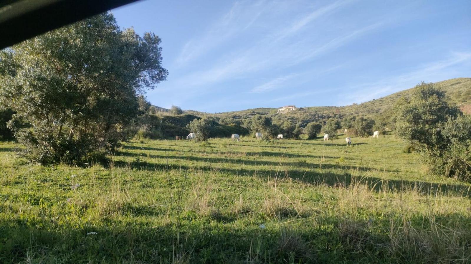 Aparthotel Il Panorama Housing Cilento Santa Maria di Castellabate Zewnętrze zdjęcie