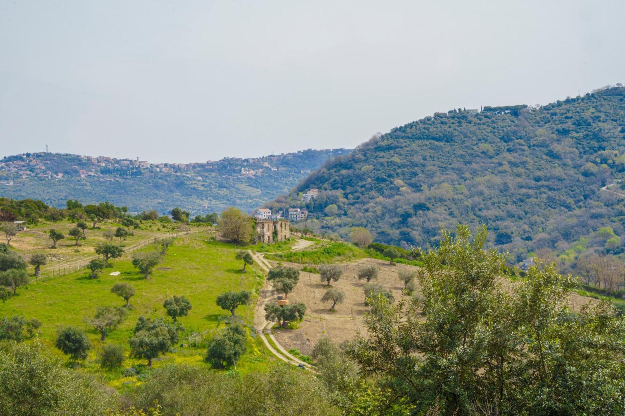 Aparthotel Il Panorama Housing Cilento Santa Maria di Castellabate Zewnętrze zdjęcie